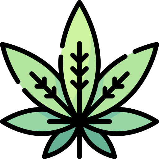 Productos de CBD en Paraguay